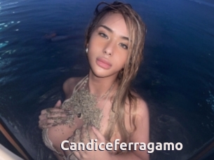 Candiceferragamo