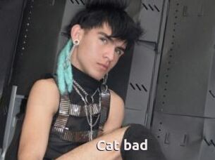 Cat_bad