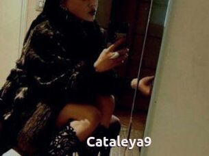 Cataleya9