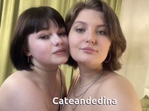 Cateandedina