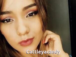 Cattleyacandy