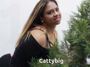 Cattybig