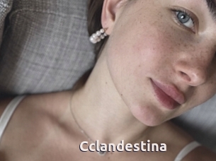 Cclandestina