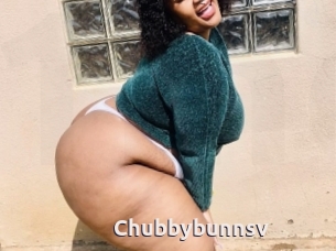 Chubbybunnsv