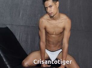 Crisantotiger