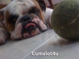 Cumalot4u