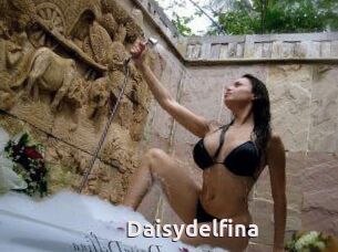 Daisydelfina