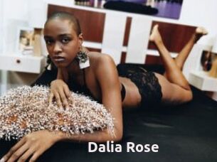 Dalia_Rose