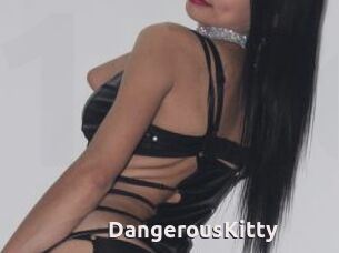 DangerousKitty