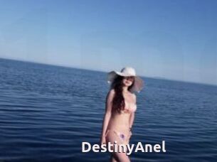 DestinyAnel