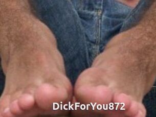 DickForYou872