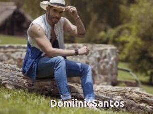 DomiinicSantos