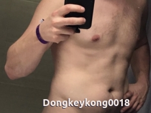 Dongkeykong0018