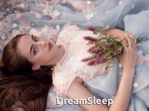 DreamSleep