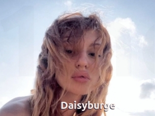 Daisyburge