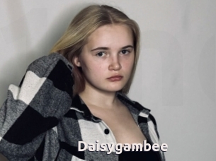 Daisygambee