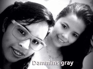 Dammins_gray