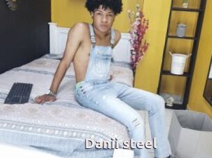 Danii_steel