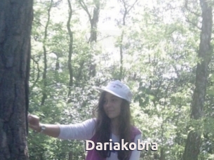 Dariakobra