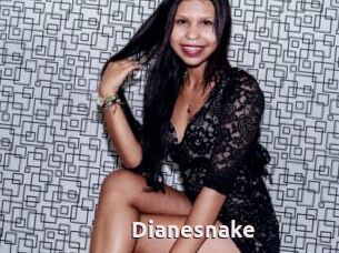 Dianesnake