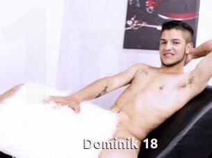 Dominik_18