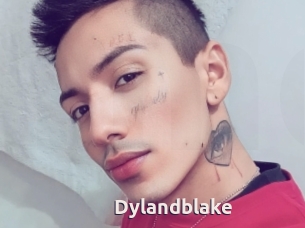 Dylandblake