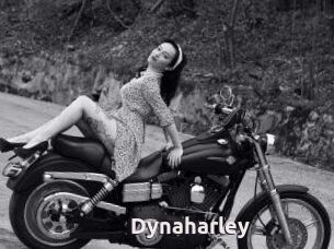 Dynaharley