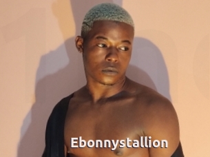 Ebonnystallion