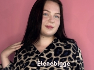 Elenebigge