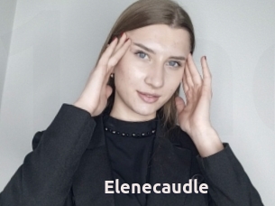 Elenecaudle