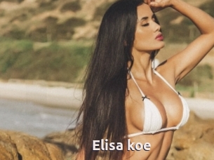 Elisa_koe