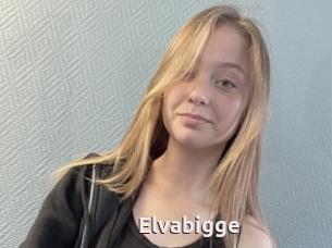 Elvabigge