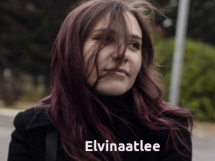 Elvinaatlee