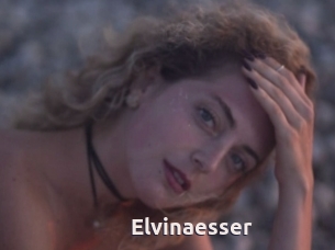 Elvinaesser