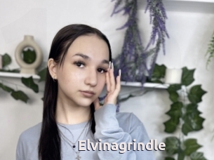 Elvinagrindle