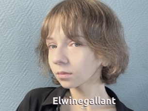 Elwinegallant