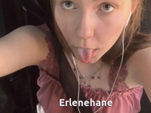 Erlenehane