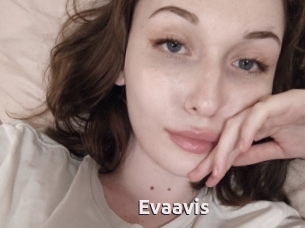 Evaavis