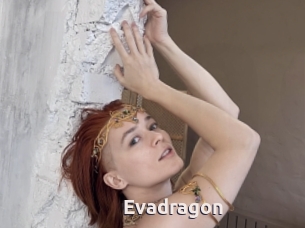 Evadragon