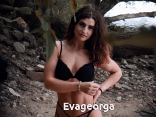 Evageorga