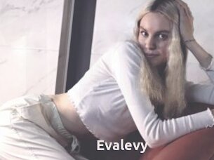 Evalevy