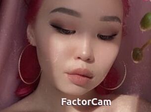 FactorCam