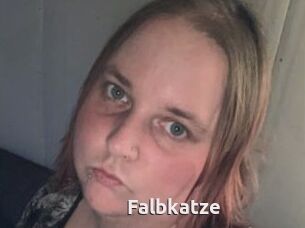 Falbkatze