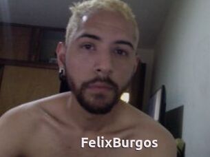 FelixBurgos