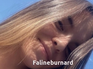 Falineburnard