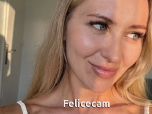 Felicecam