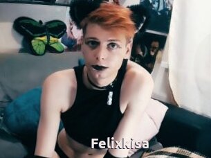 Felixkisa