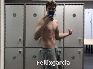 Fellixgarcia