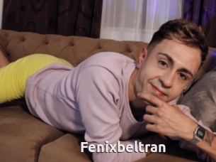 Fenixbeltran