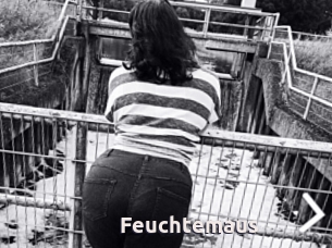 Feuchtemaus